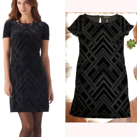 white house black market velvet dress